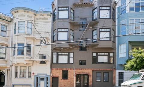 Apartments Near SF State 859 Vallejo LLC for San Francisco State University Students in San Francisco, CA