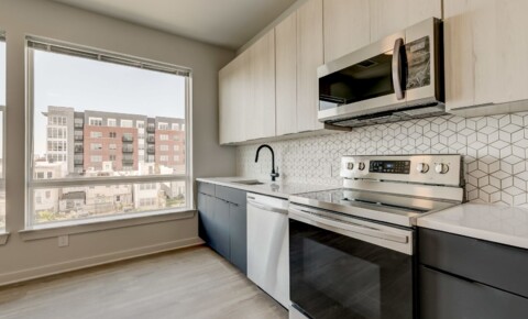 Apartments Near Notre Dame For Rent: Modern Urban Living at 115 W Hamburg – Your Ideal City Retreat Awaits! for College of Notre Dame of Maryland Students in Baltimore, MD