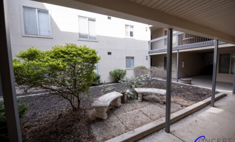 Apartments Near Healing Mountain Massage School *MOVE IN SPECIAL* Spacious 2 Bed 1 Bed Apartment Near The University of Utah! for Healing Mountain Massage School Students in Salt Lake City, UT