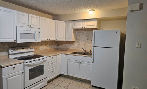 Apartments Near Everest College-Aurora Price reduced!!-Cozy 1 bedroom garden level unit for Everest College-Aurora Students in Aurora, CO