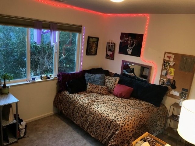 Furnished room available in 2 bdrm/1 bath unit
