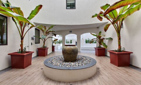 Apartments Near CSUDH Penthouse Unit- Top Floor Unit includes: In-unit W/D, Two Kitchens, Private Balcony & More! for California State University-Dominguez Hills Students in Carson, CA
