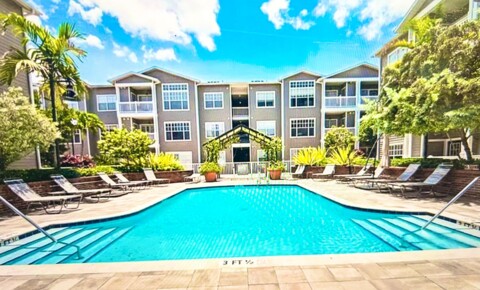 Apartments Near UT Fully furnished one luxury apt in the perfect location All utilities included.  for The University of Tampa Students in Tampa, FL