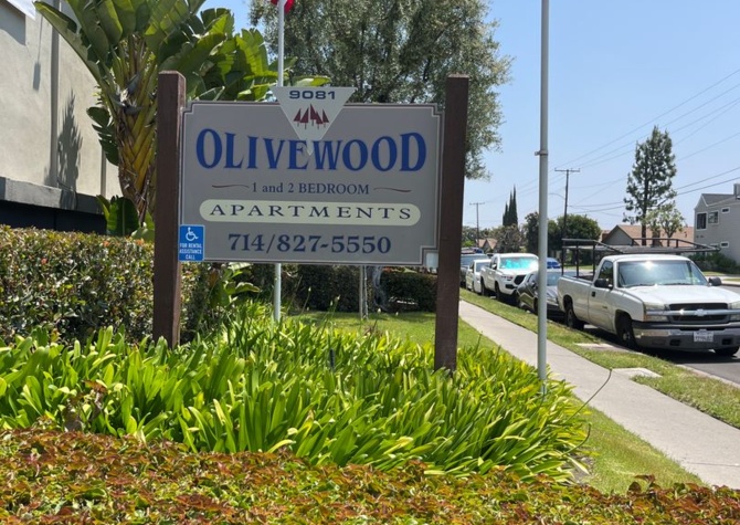 Apartments Near Olivewood Apartments