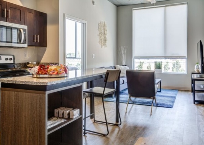 Apartments Near Single Furnished Studio at Everly on the Loop