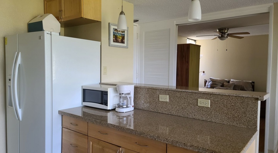 2 bedroom FULLY FURNISHED Condo with Parking in Waikiki