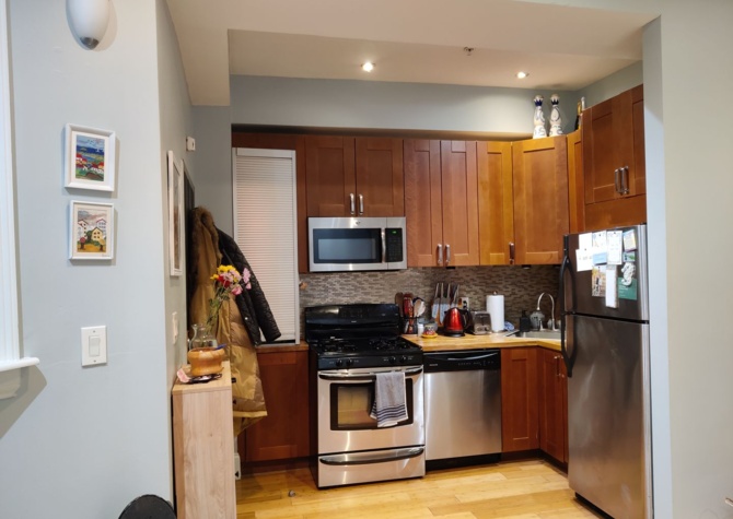 Apartments Near Pets Friendly Unit in Back Bay. In Unit Washer/Dryer, Central AC, Private Outdoor Space