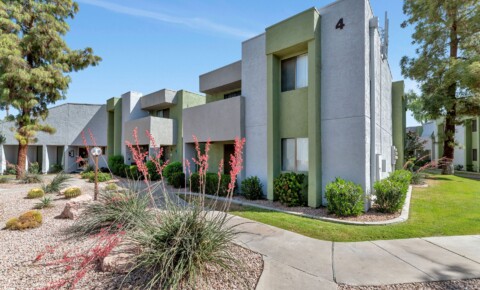 Apartments Near LCB Scottsdale Lemon & Pear Tree Apartments for Le Cordon Bleu Scottsdale Students in Scottsdale, AZ
