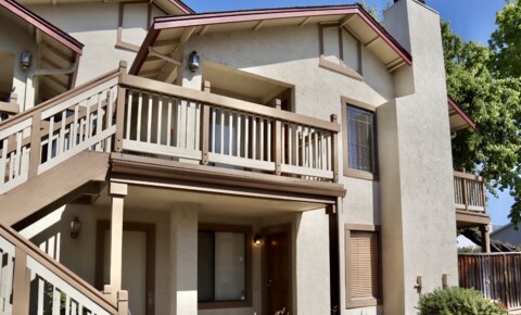 Houses Near Chabot Condo for rent in Fremont - beautiful views and greenery! for Chabot College Students in Hayward, CA