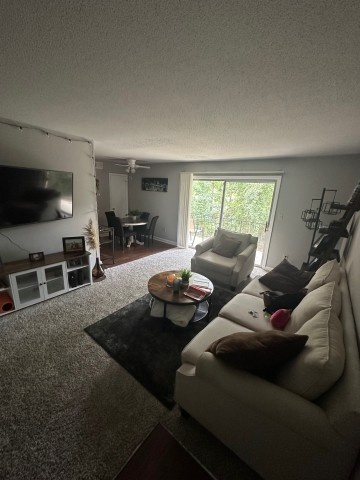 Holly Hills 1 BR Apartment