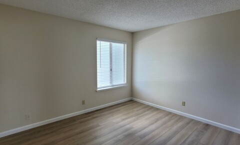 Apartments Near Nevada Beautiful Large  1 Bedroom 1 Bathroom Upstairs Condo for Nevada Students in , NV