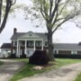 Kentucky mansion overlooking horse farm with stunning views 240323