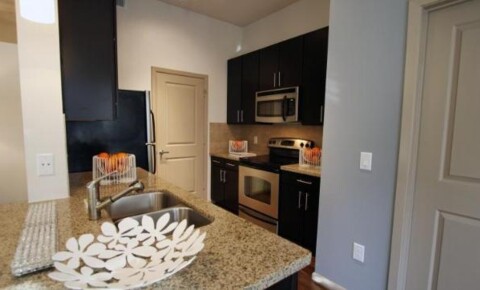 Apartments Near Texas Southern 306 McGowen St for Texas Southern University Students in Houston, TX