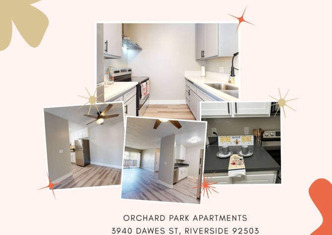 Apartments Near Orchard Park Apts