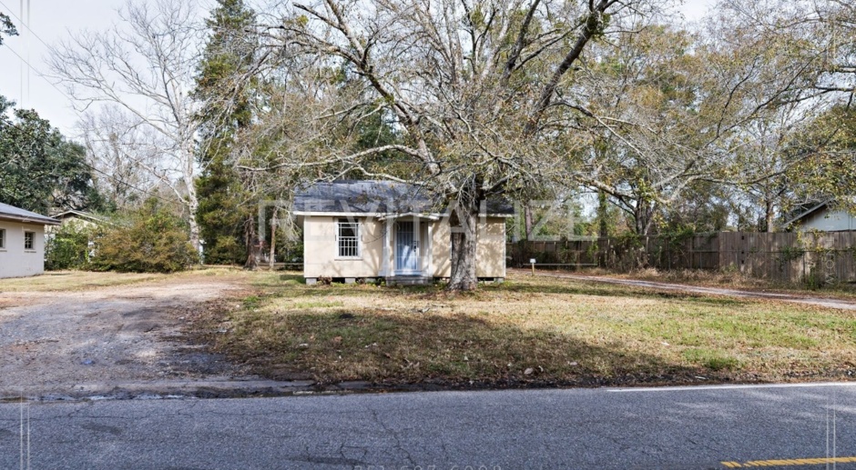 Newly Updated 1 Bed/1 Bath House in Mobile! 