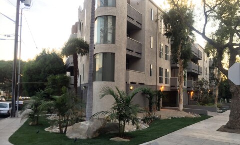 Apartments Near CSULA #589 for California State University-Los Angeles Students in Los Angeles, CA