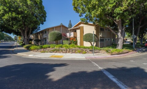 Apartments Near Foothill 245 W California Ave for Foothill College Students in Los Altos Hills, CA