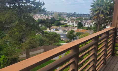 Apartments Near SDSU Villa Point Loma for San Diego State University Students in San Diego, CA