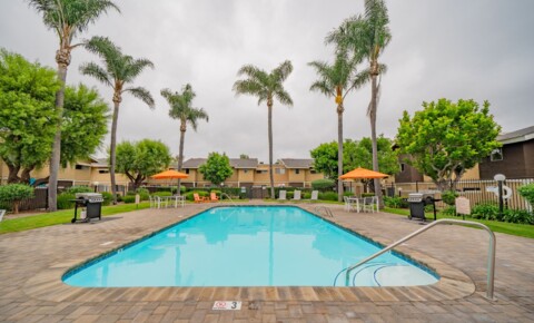 Apartments Near Palomar Bougainvillea Apt Homes for Palomar College Students in San Marcos, CA