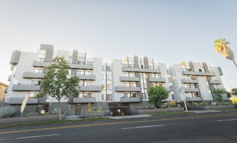 Apartments Near SMC 315 South Virgil Ave for Santa Monica College Students in Santa Monica, CA