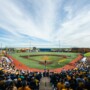 UCF Knights at West Virginia Mountaineers Baseball
