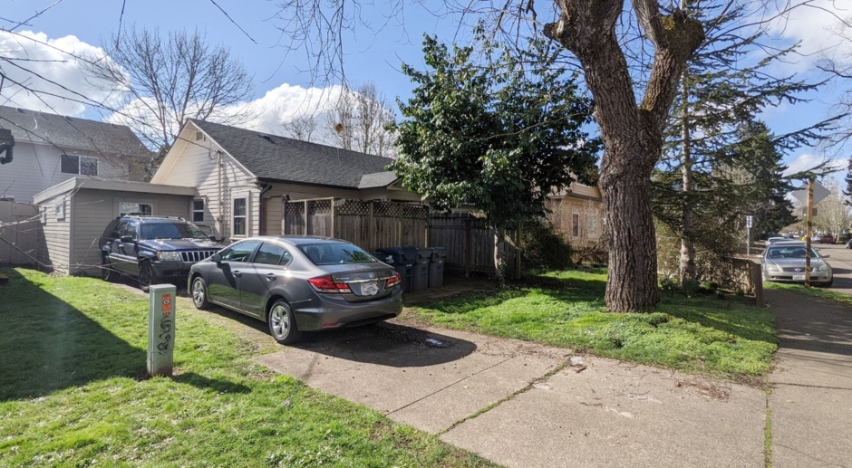West University 3 bedroom house with library and fenced yard at 15th & Mill - available July 21st, 2024