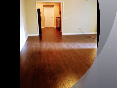 BEAUTIFUL 1bed 1 bath apartment across the street from Belmont University 