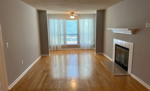 Apartments Near Bluffton Fabulous Forest Cove - South End HHI Location! for Bluffton Students in Bluffton, SC