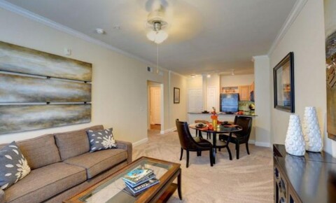Apartments Near UH 4620 N Braeswood Blvd for University of Houston Students in Houston, TX