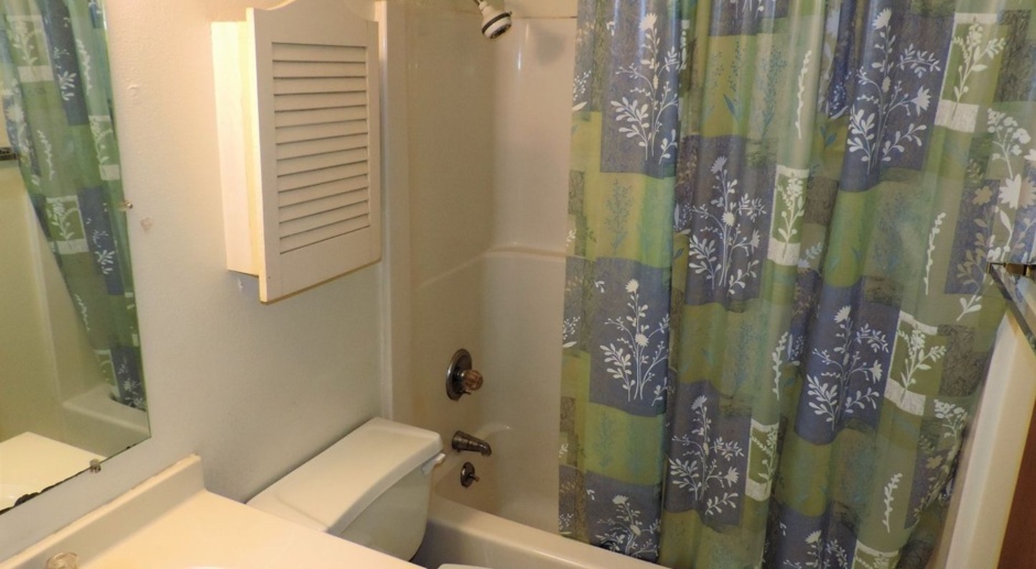 $775 | 1 Bedroom, 1 Bathroom Condo | No Pets | Available for February 09, 2024 Move In!
