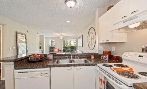 Apartments Near Maitland 3250 Bishop Park Drive for Maitland Students in Maitland, FL