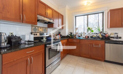 Apartments Near Everest Institute-Chelsea Biggest and best 4BR/2BA with heat included and new kitchen! for Everest Institute-Chelsea Students in Chelsea, MA