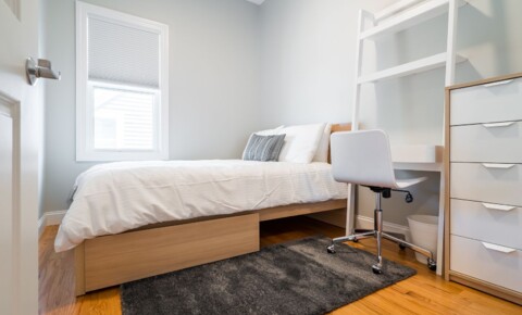 Apartments Near Tufts 11-13 Plymouth Street for Tufts University Students in Medford, MA