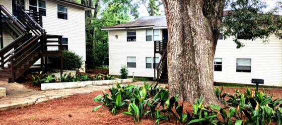 FSU Housing Student Only Walk to FSU 2 Bedroom Apartments for Florida State University Students in Tallahassee, FL
