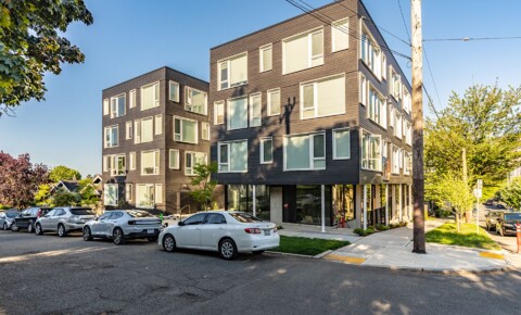 Apartments Near UW Betula House- Stunning, Affordable New Construction Apartments in First HIll / Central Area  for University of Washington Students in Seattle, WA