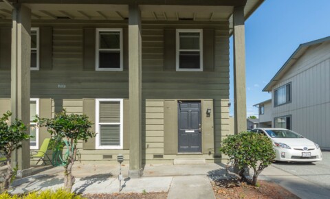 Houses Near Menlo Wonderful 3 bed/ 1.5 bath unit located in Sunnyvale  for Menlo College Students in Atherton, CA