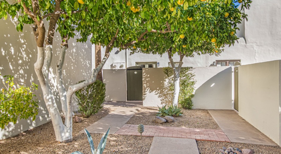 Mid-Century Charisma -  Furnished Paradise Valley Townhome