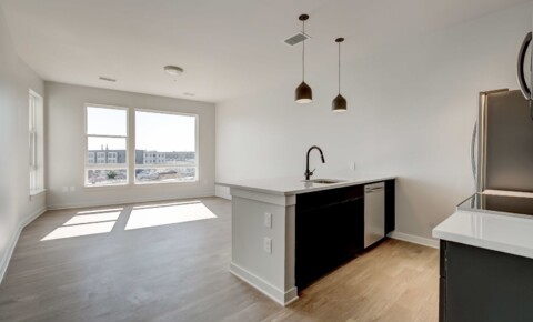 Apartments Near Ellicott City For Rent: Modern Urban Living at 115 W Hamburg – Your Ideal City Retreat Awaits! for Ellicott City Students in Ellicott City, MD
