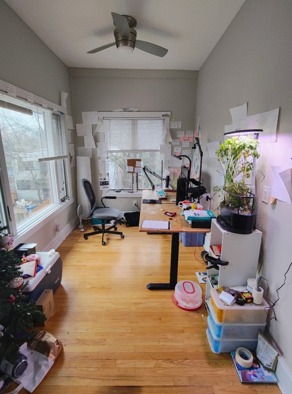 1 Bedroom + Office/Sunroom
