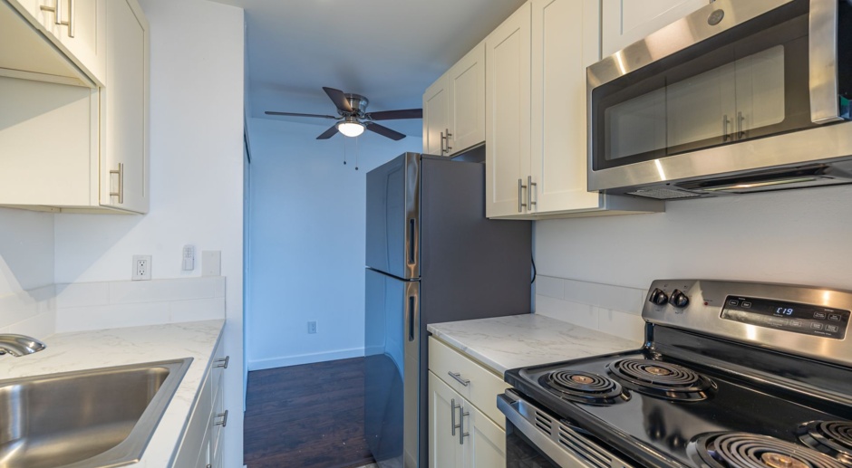 The Lorelei Apartments - Recently Renovated 1 Bed/1 Bath