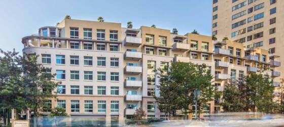 SMC Housing Wilshire Margot UCLA Co-Living & Apartments for Santa Monica College Students in Santa Monica, CA