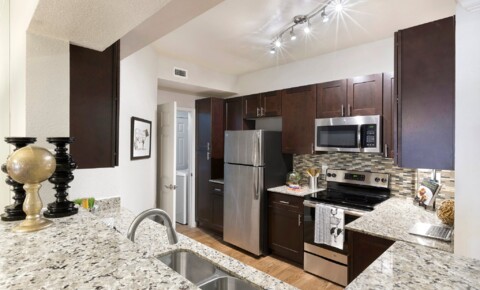 Apartments Near Round Rock Gables Central Park Texas for Round Rock Students in Round Rock, TX