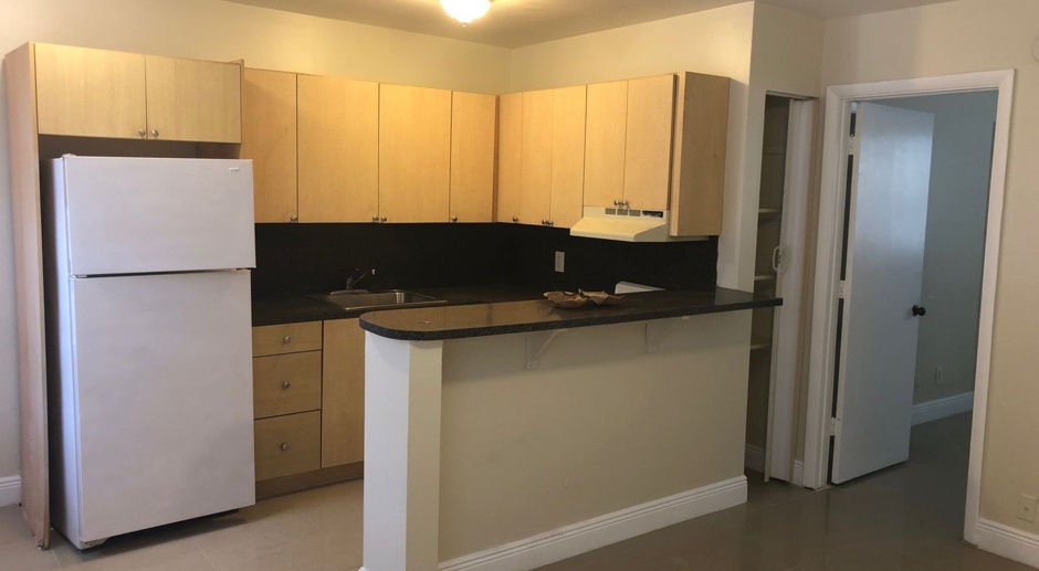 Large one bedroom apartment 