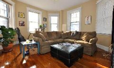 Apartments Near Lasell Spacious 1 Bed On The Brighton/Brookline Line  for Lasell College Students in Newton, MA